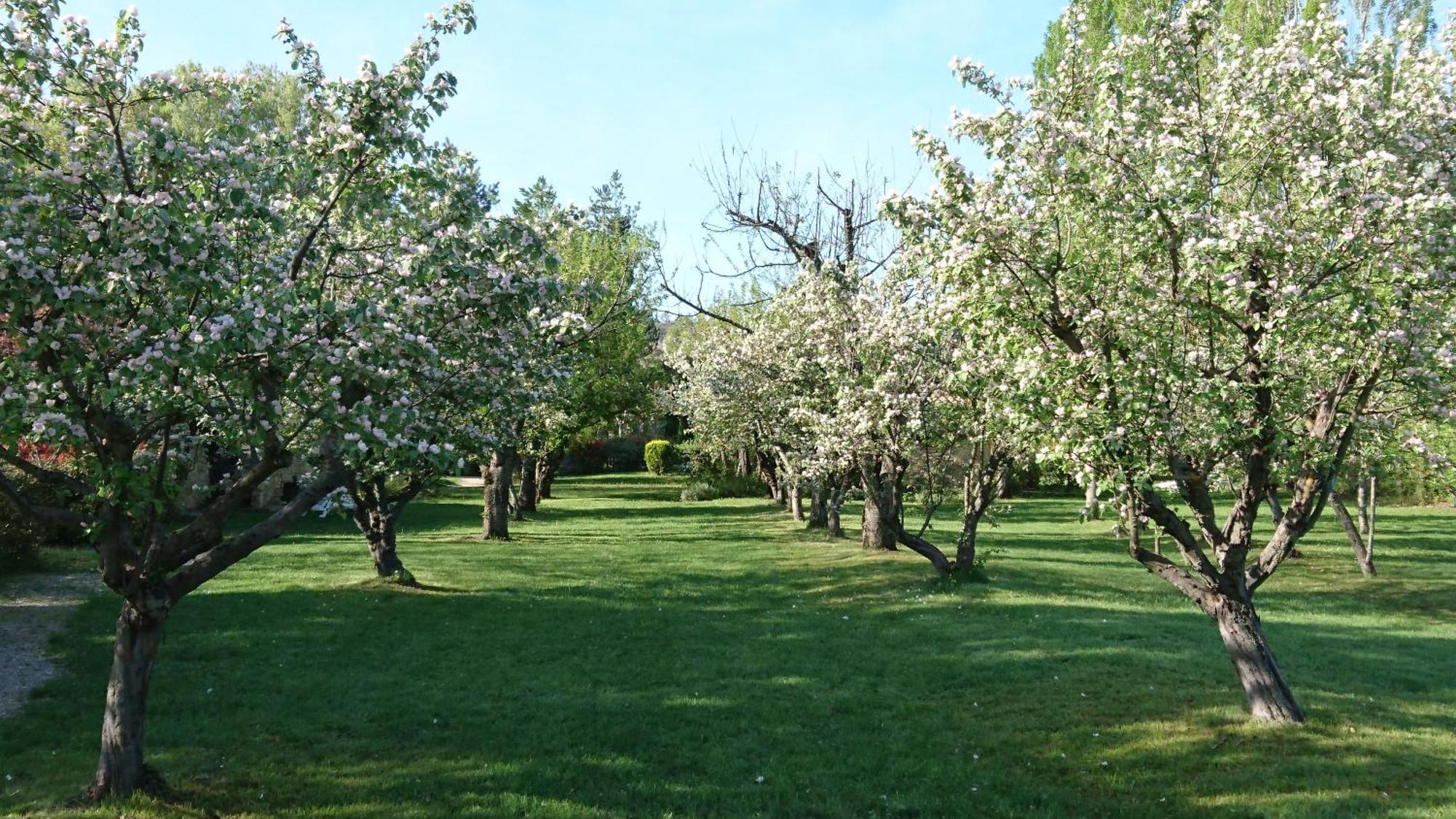 Les Maisons De Chante Oiseau Sigonce Buitenkant foto