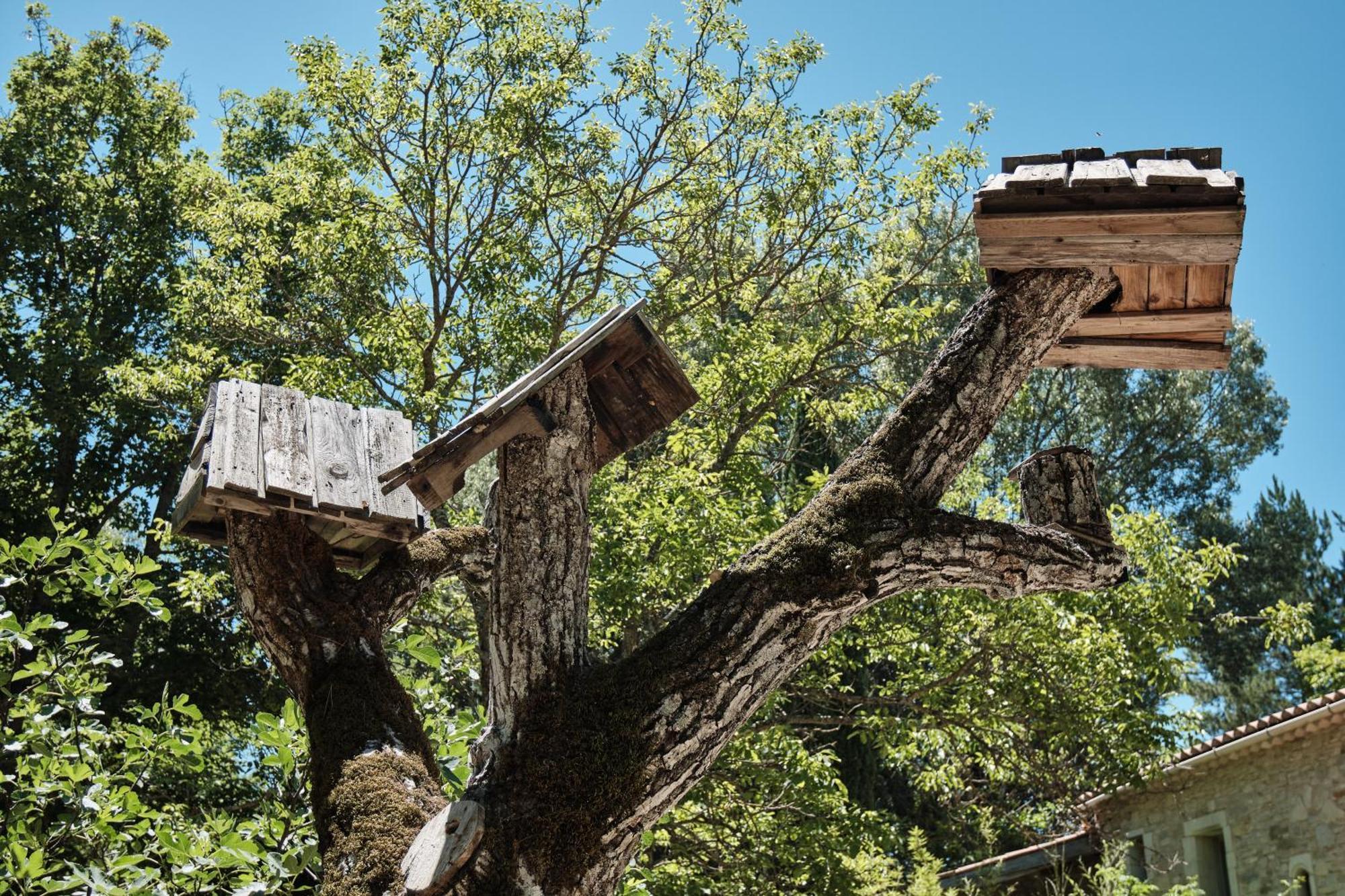 Les Maisons De Chante Oiseau Sigonce Buitenkant foto
